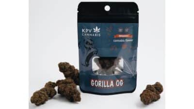 KPV Cannabis GORILLA OG 1gr
