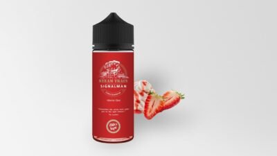 Steamtrain  - Signalman 30/120 ml