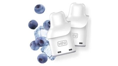 Smarter Mini Pod Blueberry Ice 2ml 20mg (PACK OF 2)