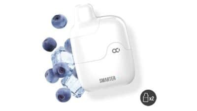 Smarter Mini Starter Kit Blueberry Ice 2x2ml 20mg